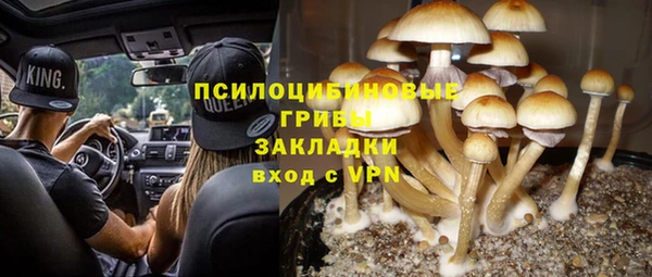 ешки Алексеевка
